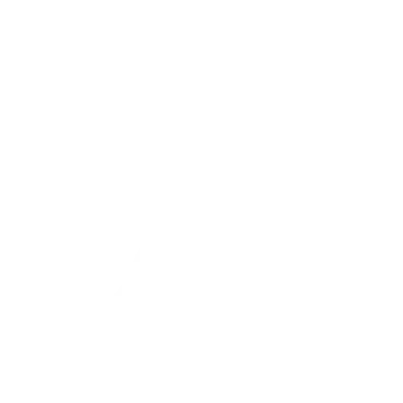 frbicon-ALT
